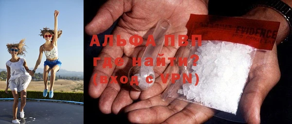 гашик Осташков